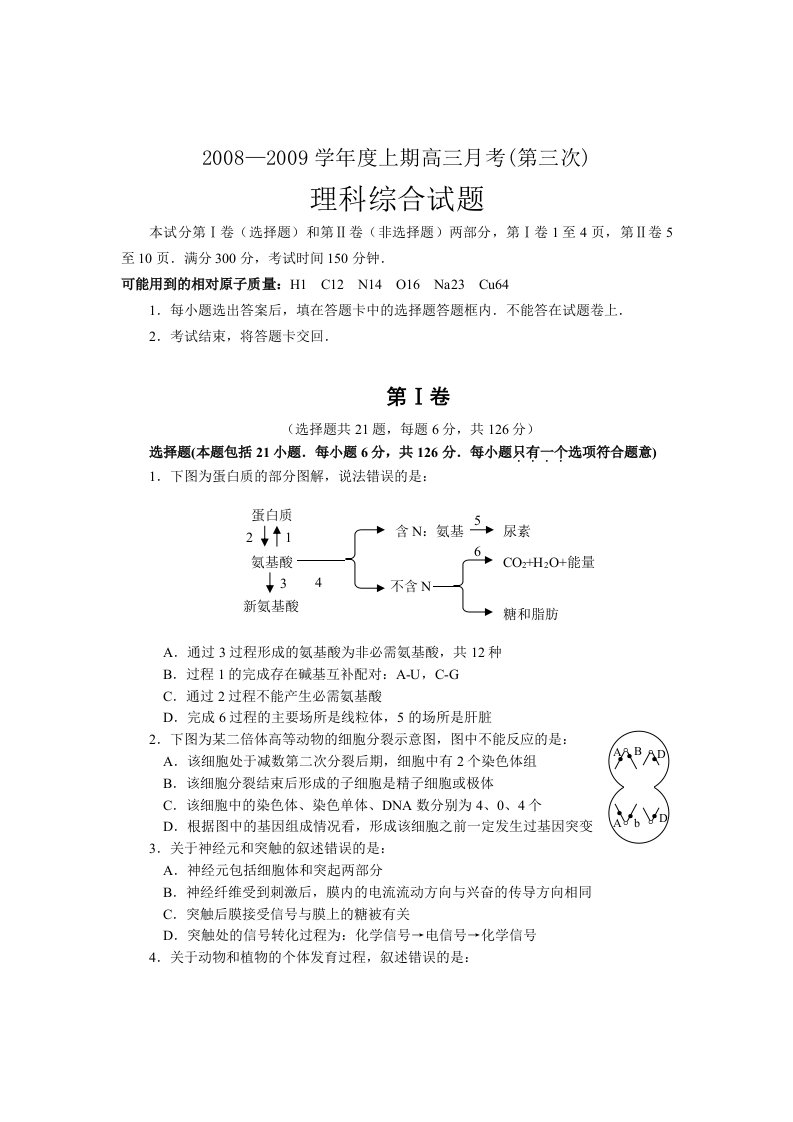 巴南区08-09上高三第三次月考理科综合试题及答案