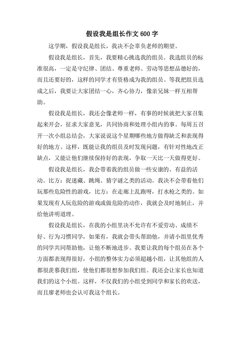 假如我是组长作文600字