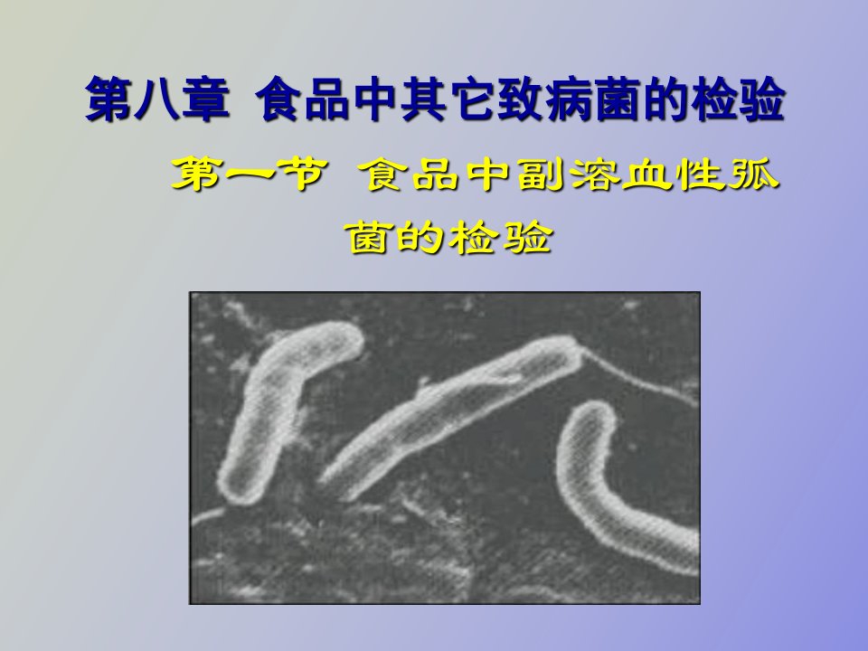 食品中副溶血性弧菌的检验