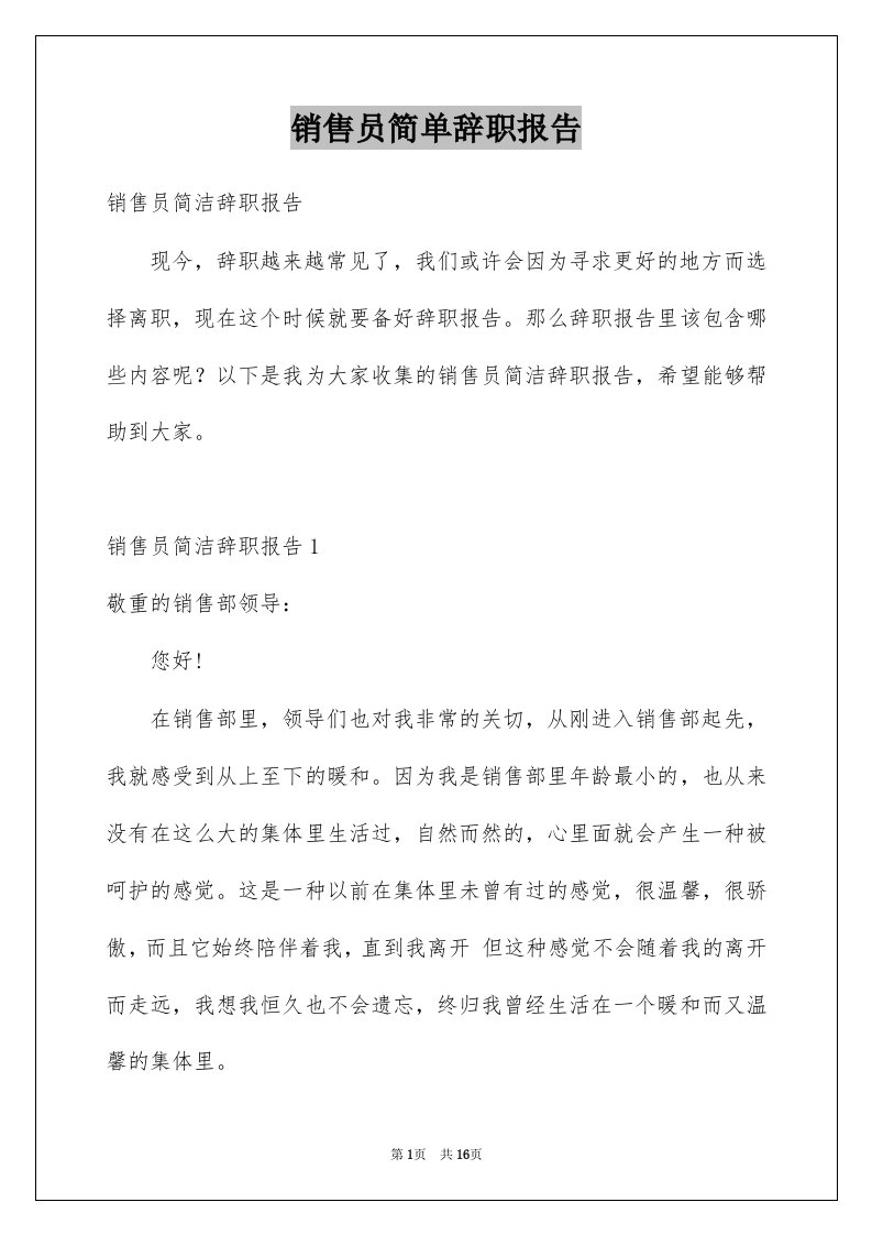 销售员简单辞职报告精选