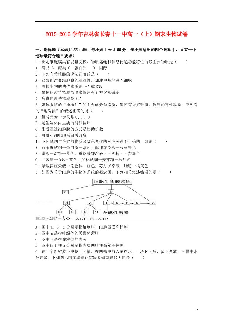 吉林省长十一中高一生物上学期期末试卷（含解析）