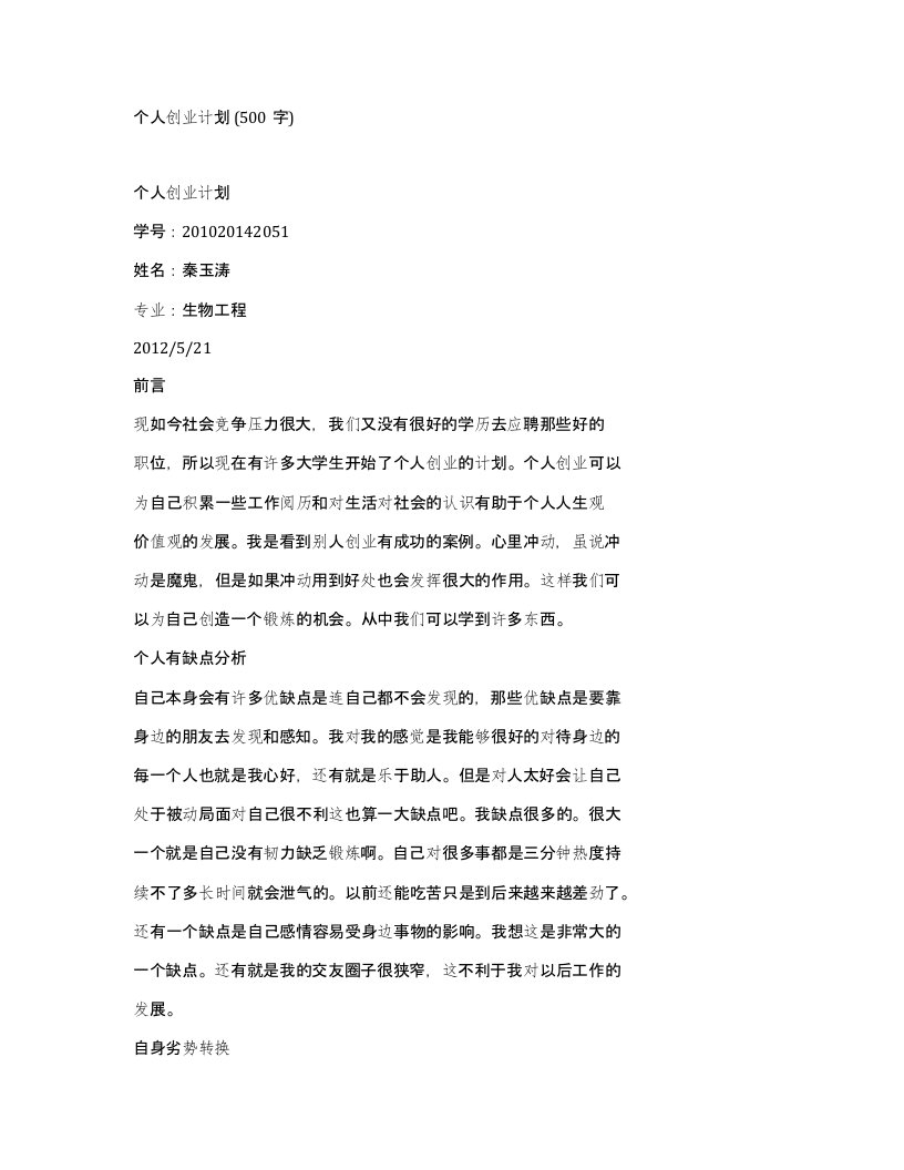 个人创业计划500字