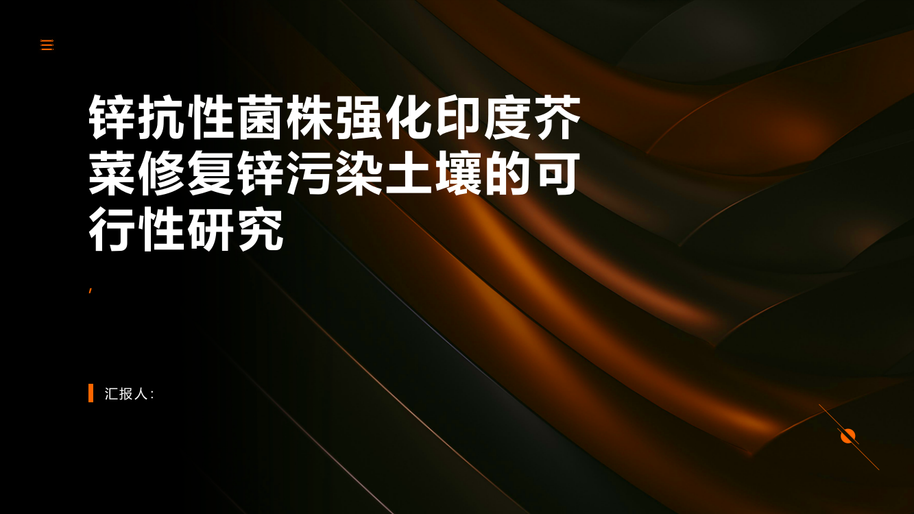 一株锌抗性菌株强化印度芥菜修复锌污染土壤的可行性研究