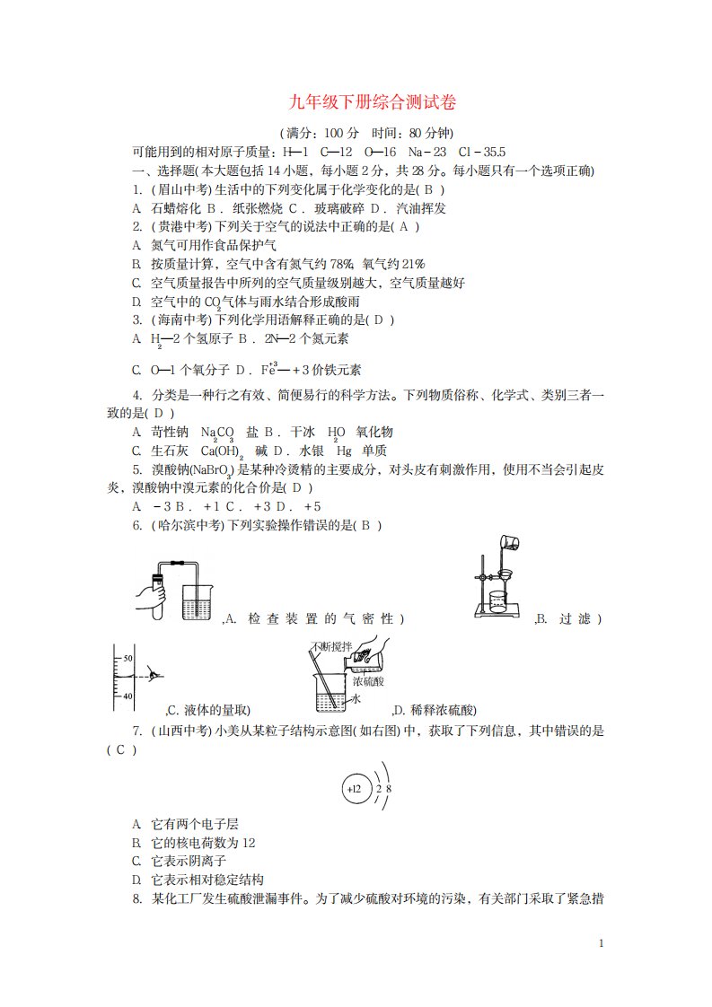 2023年秋九年级化学下册