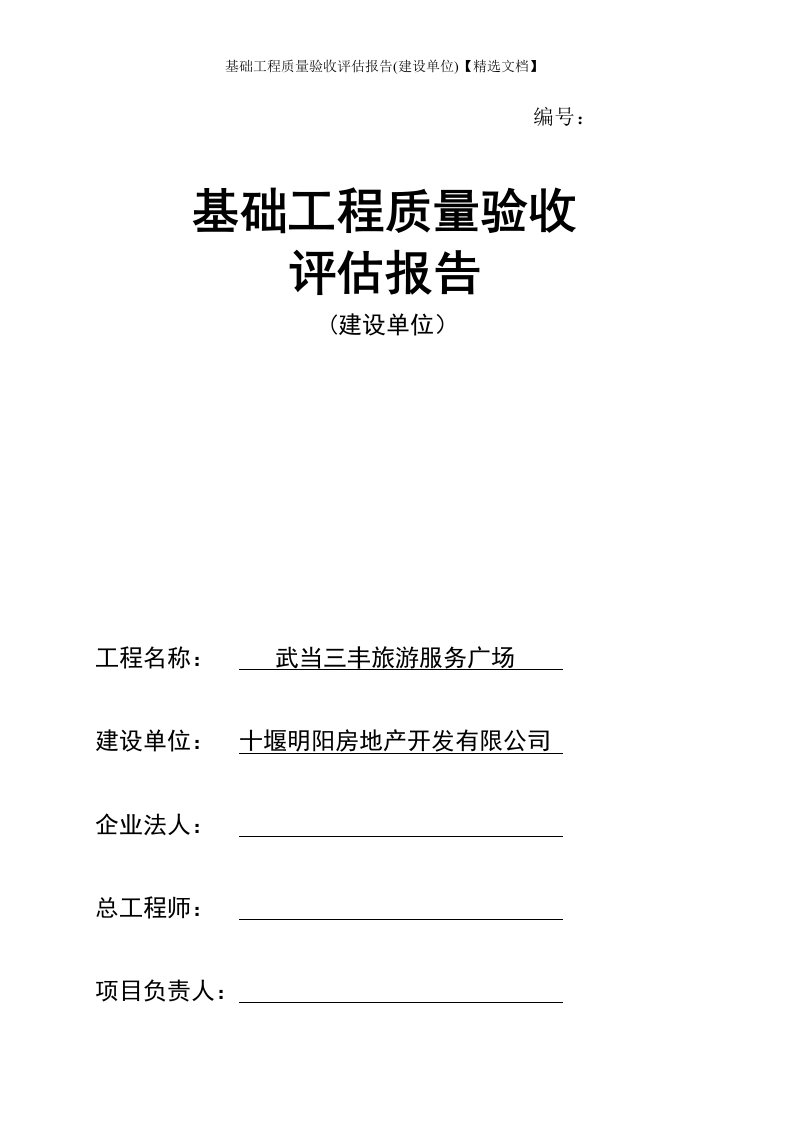 基础工程质量验收评估报告(建设单位)【精选文档】