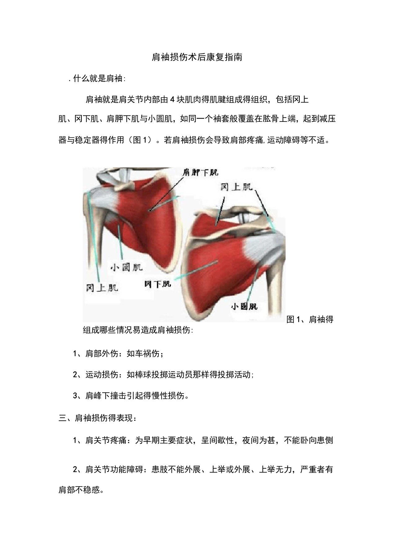 肩袖损伤术后康复指南