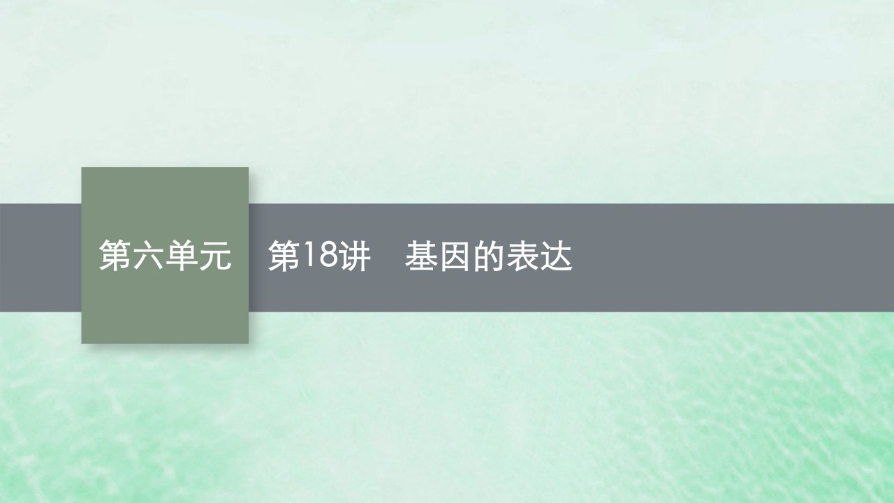 适用于老高考旧教材2024版高考生物一轮总复习第六单元遗传的分子基础第18讲基因的表达课件新人教版