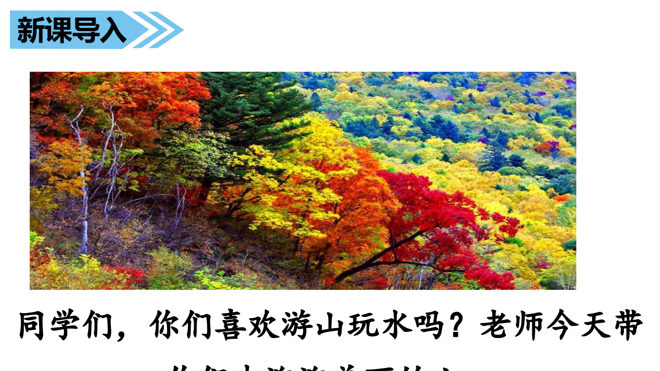 （课堂教学课件）五花山