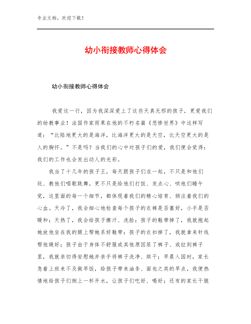 幼小衔接教师心得体会优选例文29篇文档汇编