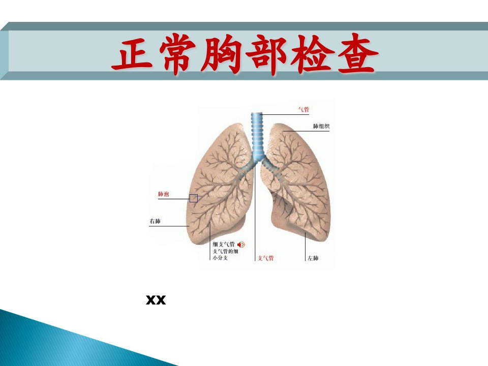 诊断学教学胸部查体