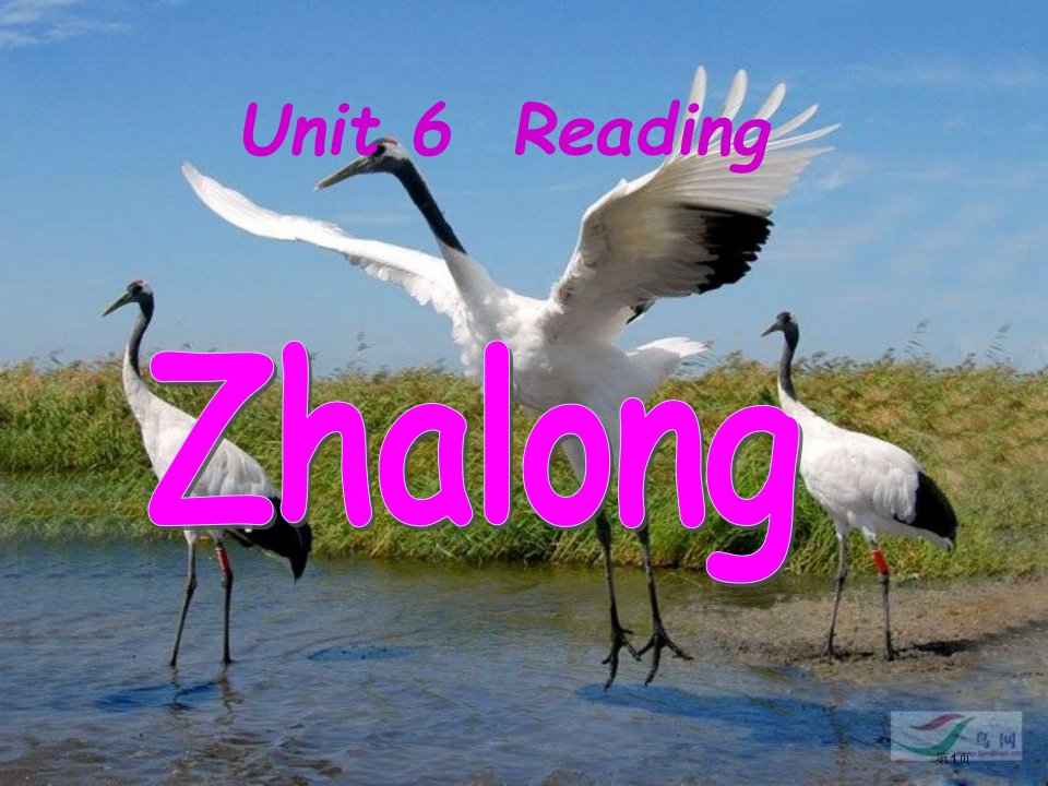 牛津译林版八上unitreading时Zhalongaspecialplace名师公开课一等奖省优质课赛课获奖课件