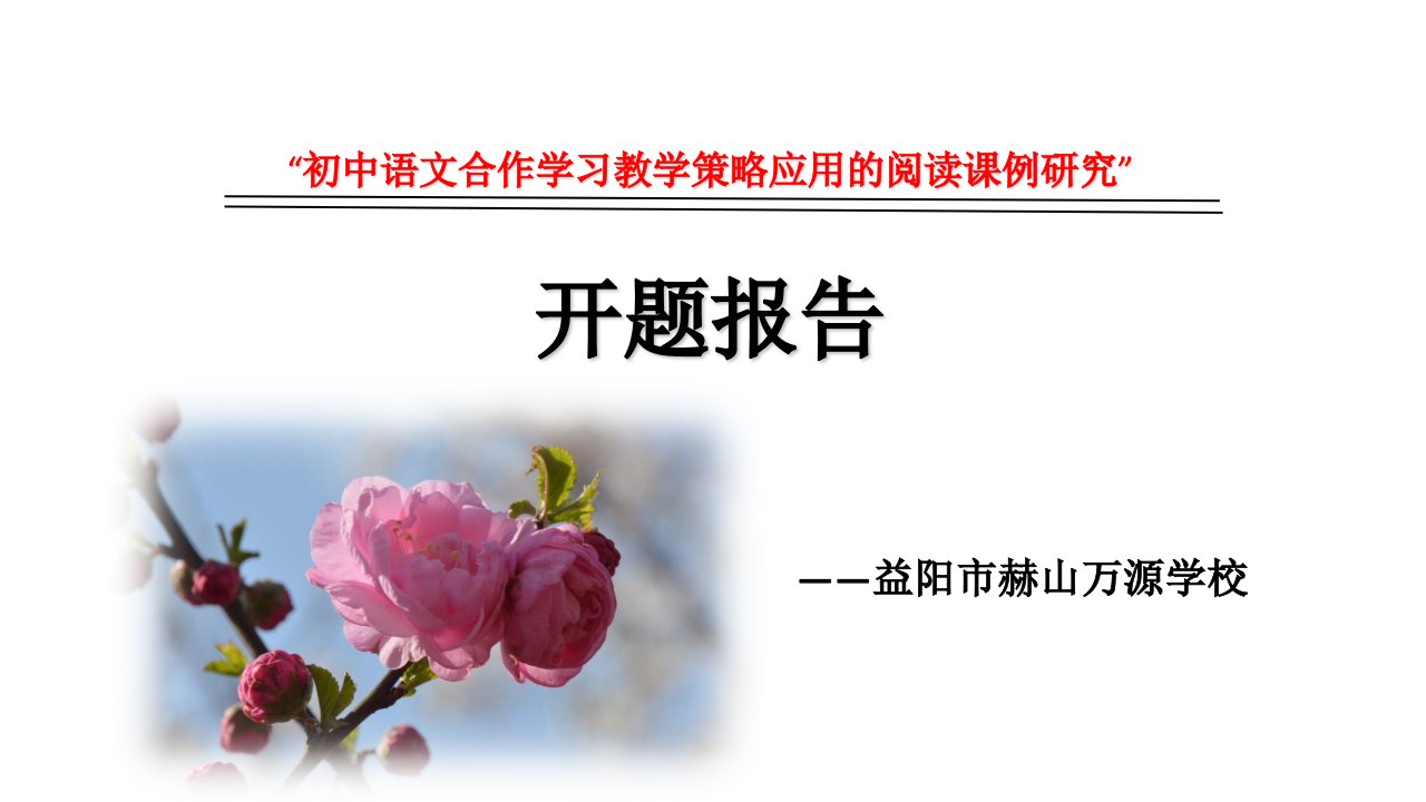 初中语文合作学习教学策略应用的阅读课例研究-开题报告