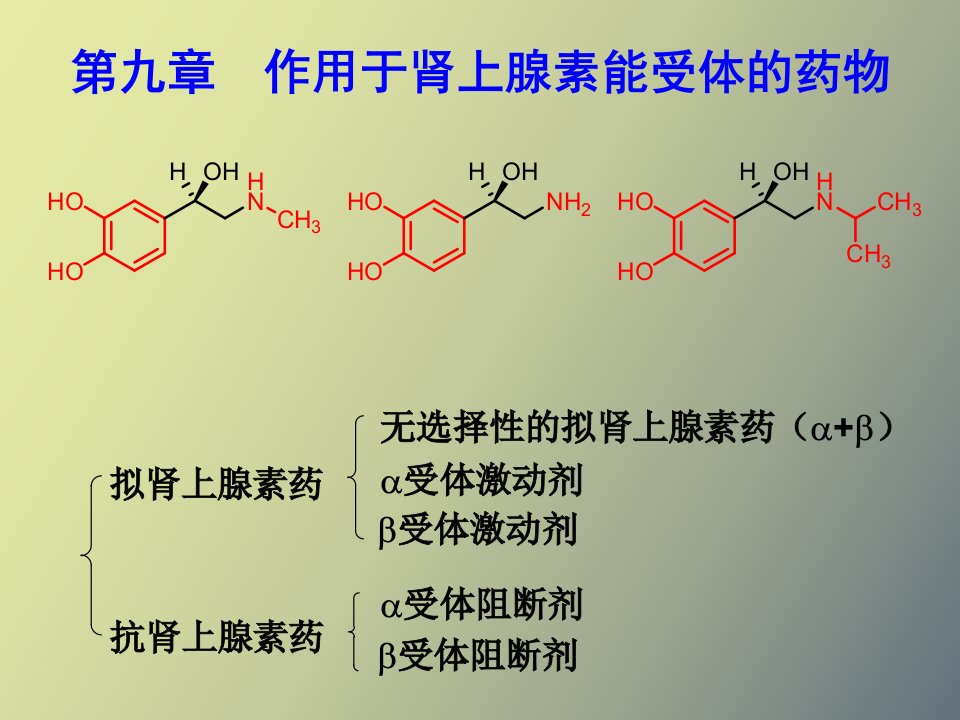 作用于肾上腺素能受体的药物