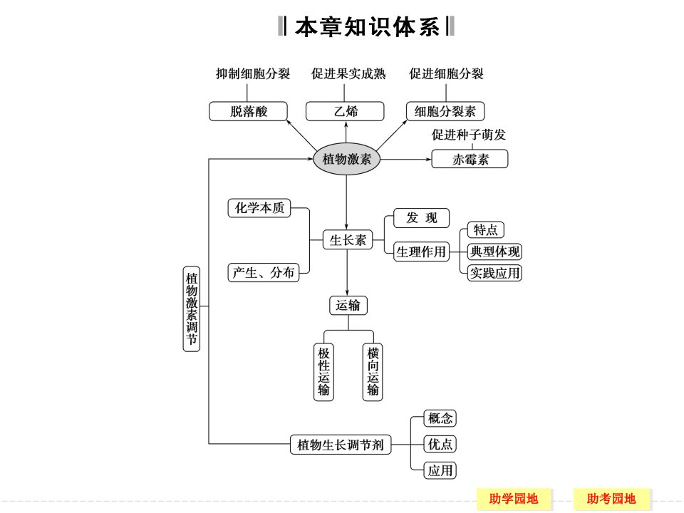 植物激素调节章末整合