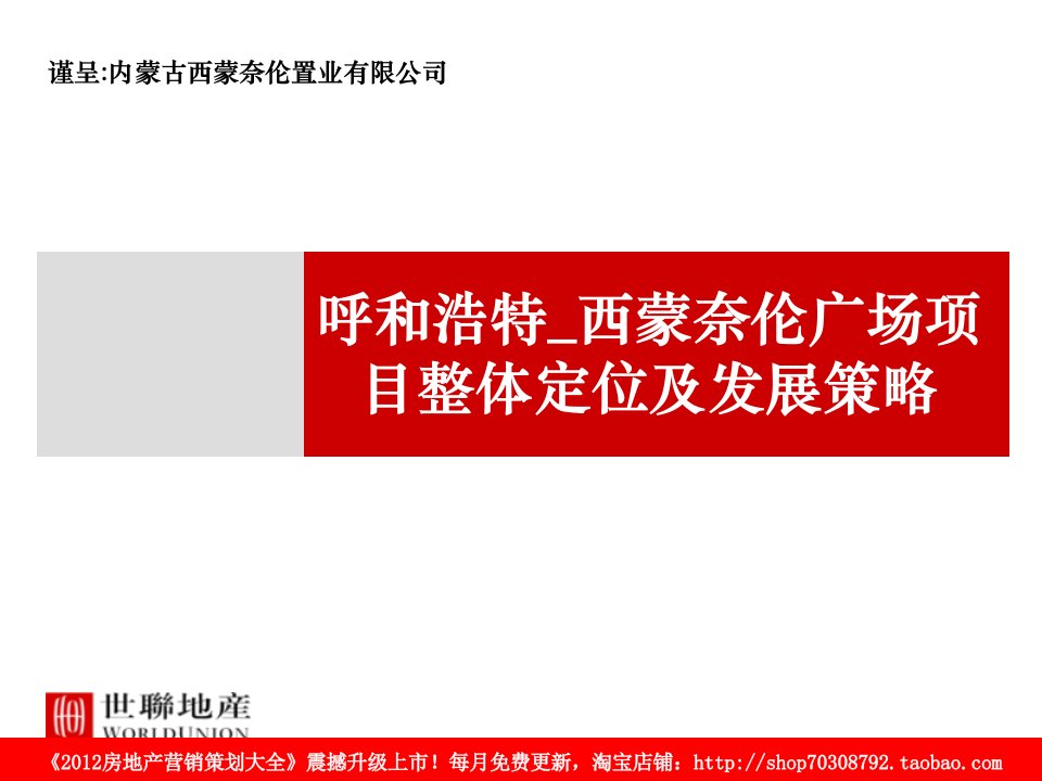 2011年呼和浩特西蒙奈伦广场项目整体定位及发展策略