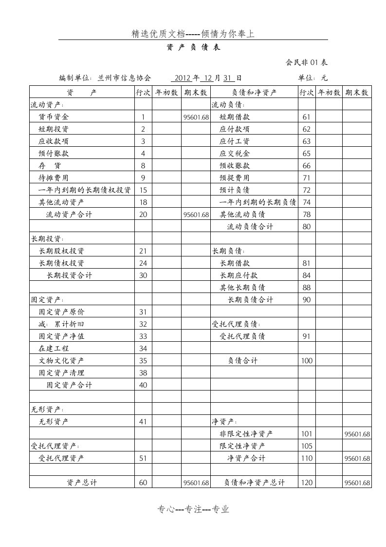 民间非营利组织会计报表样式(共5页)