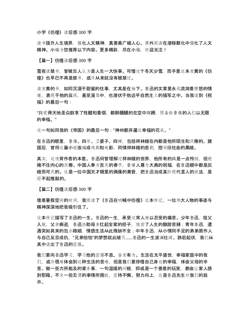 小学彷徨读后感300字