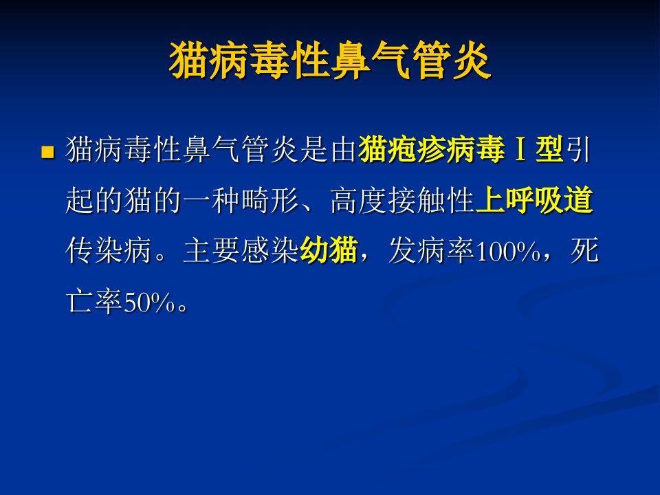 猫病毒性鼻气管炎ok