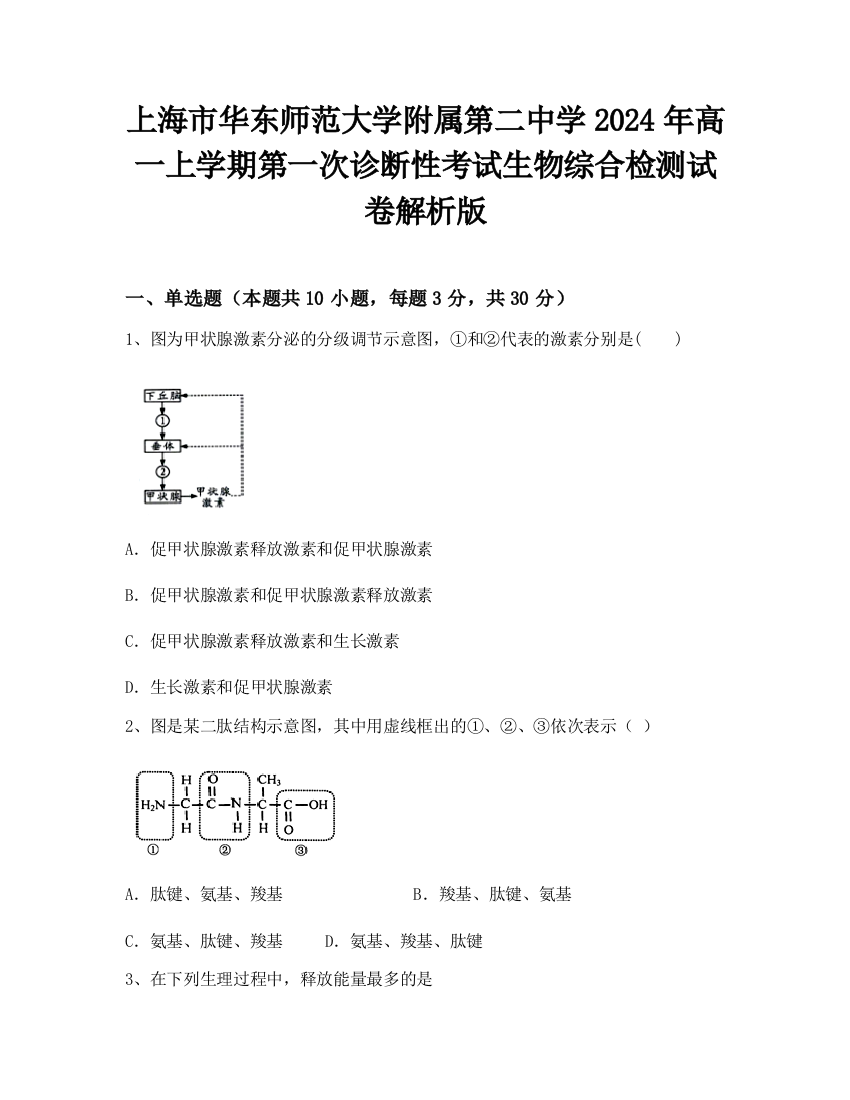 上海市华东师范大学附属第二中学2024年高一上学期第一次诊断性考试生物综合检测试卷解析版