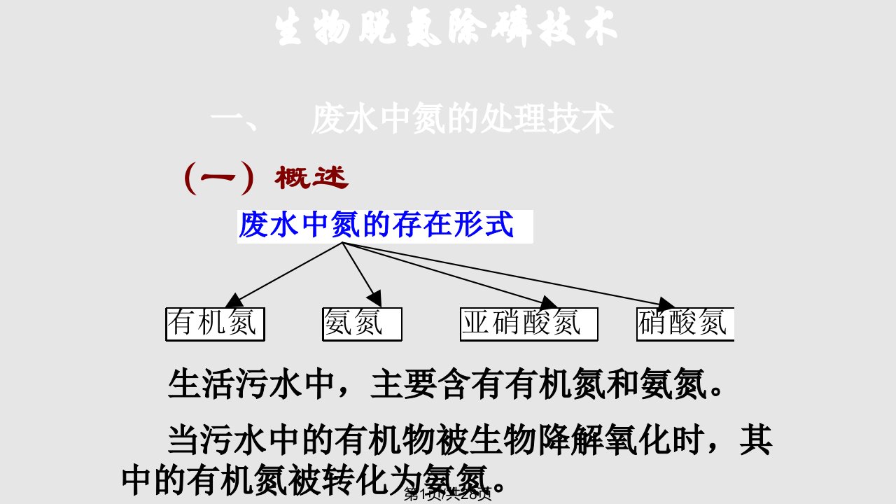 硝化与反硝化PPT课件