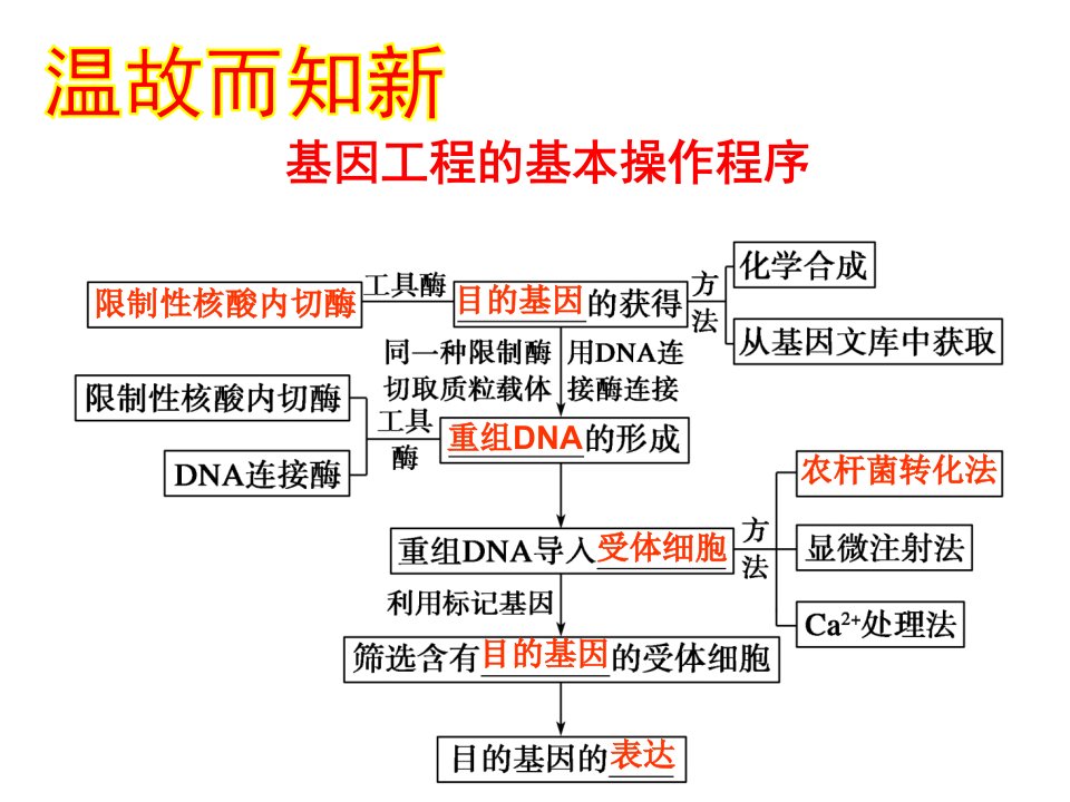 13基因工程的应用PCZ