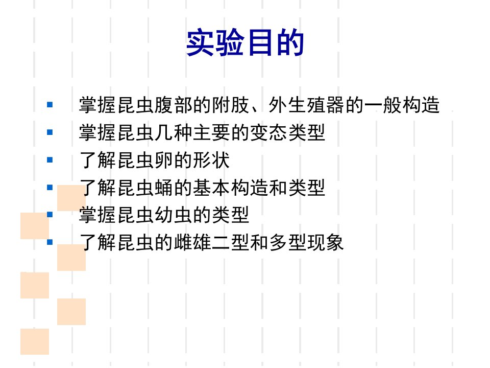 最新实验3昆虫的腹部和昆虫生物学ppt课件