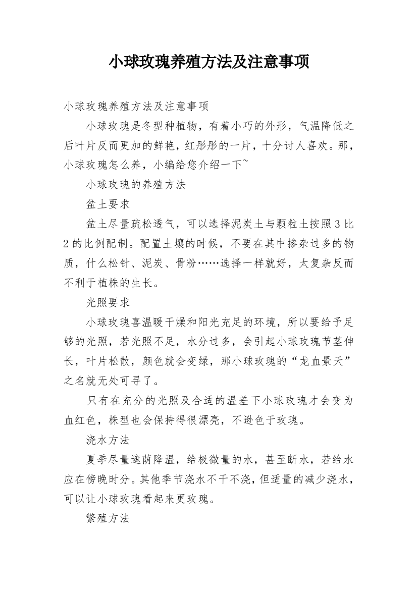 小球玫瑰养殖方法及注意事项