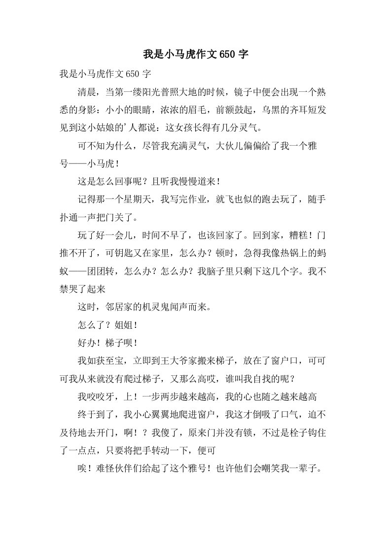 我是小马虎作文650字