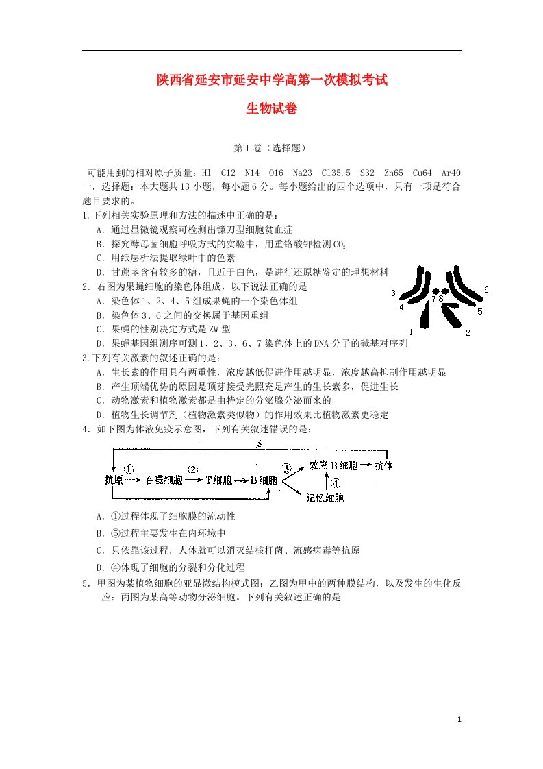 陕西省延安市延安中学高三生物上学期第一次模拟考试试题新人教版