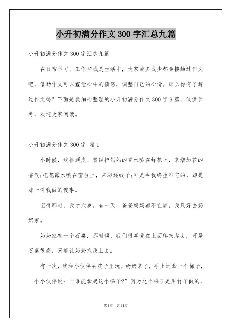 小升初满分作文300字汇总九篇例文