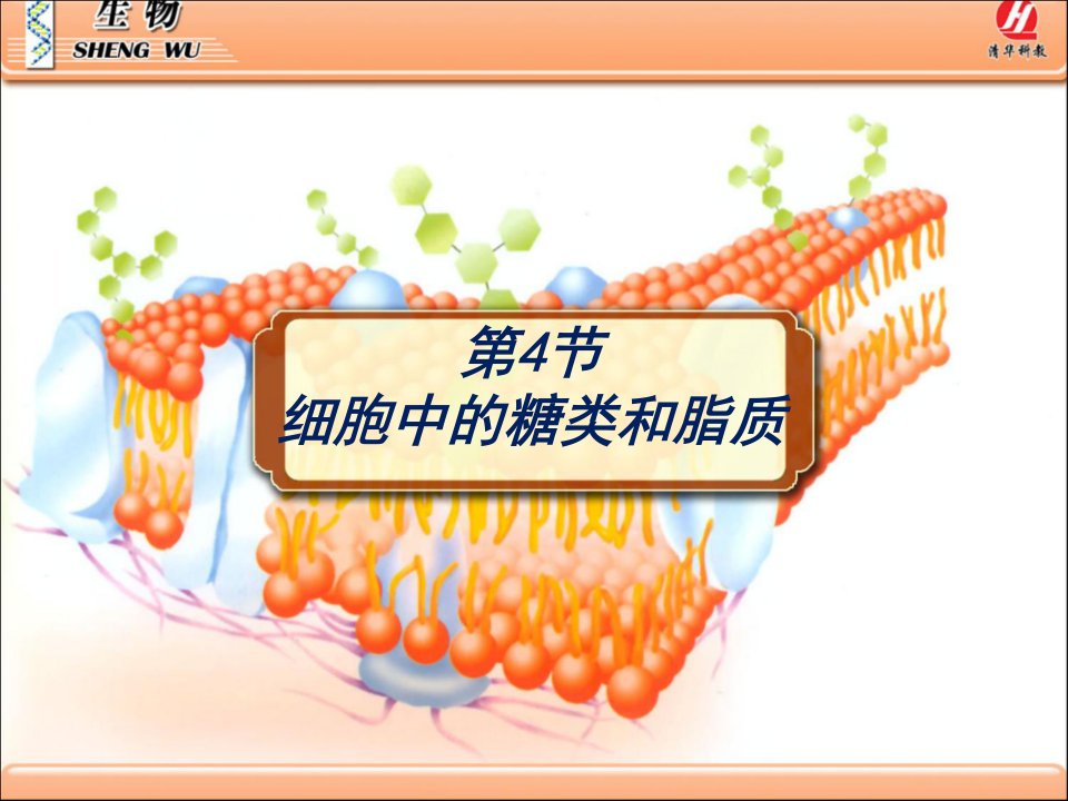 生物学必修2.4细胞中的糖类和脂类PPT课件