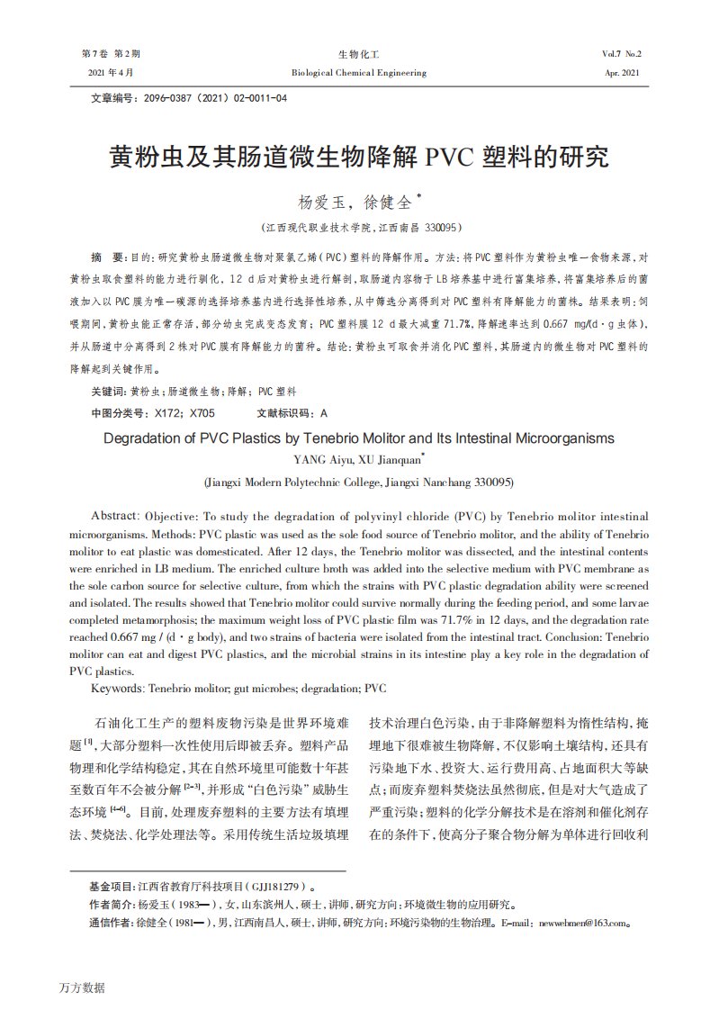 黄粉虫及其肠道微生物降解PVC塑料的研究