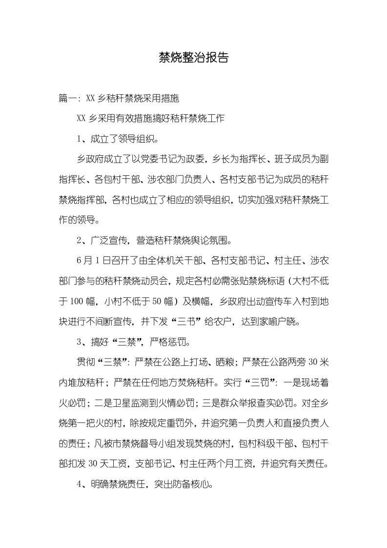 禁烧整改汇报