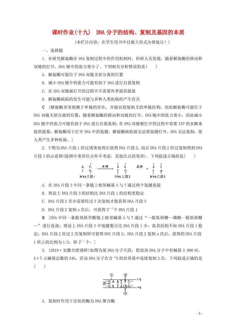 2022届高考生物一轮复习课时作业十九DNA分子的结构复制及基因的本质含解析新人教版