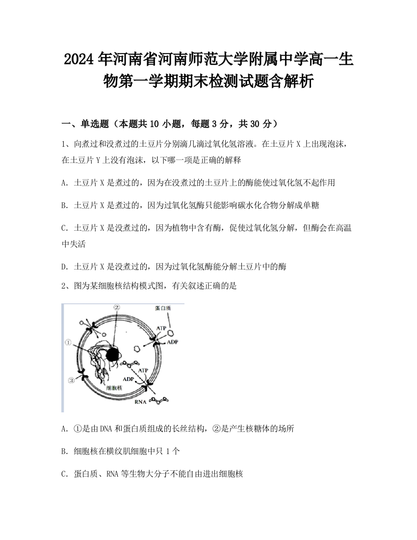 2024年河南省河南师范大学附属中学高一生物第一学期期末检测试题含解析