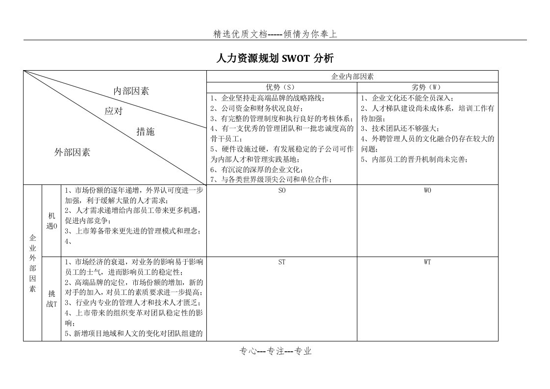 人力资源规划SWOT分析(共2页)