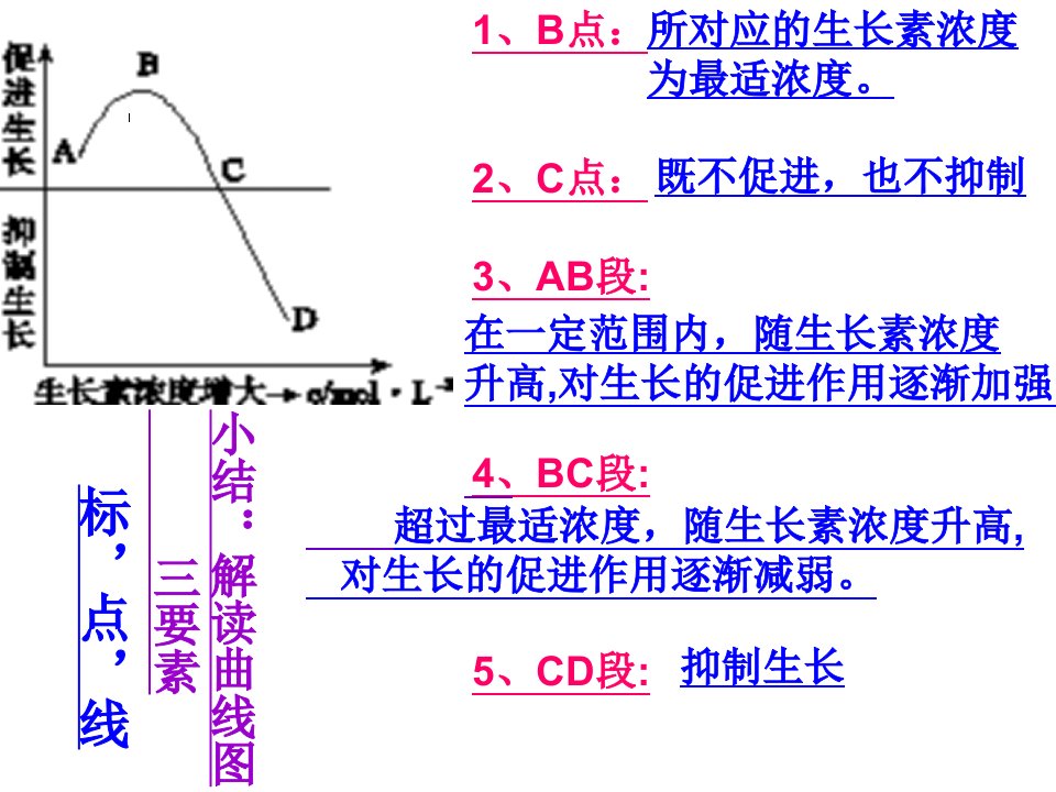 1222编号248631032生长素的生理作用