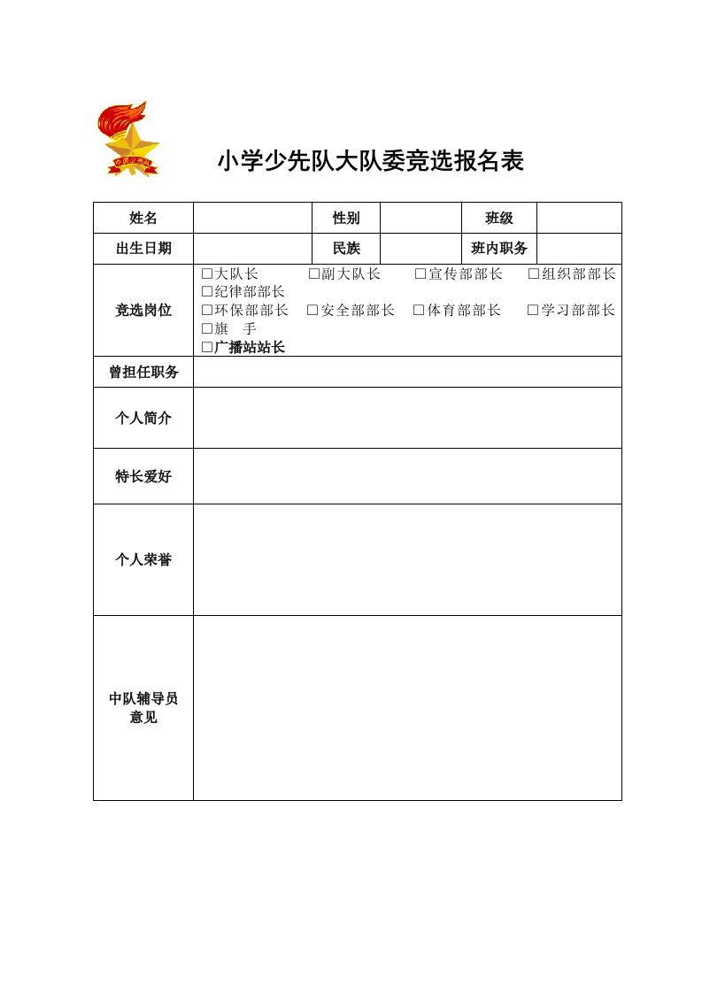 小学少先队大队委竞选报名表