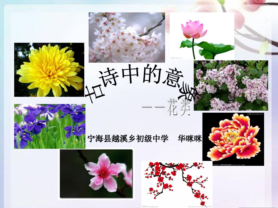 古诗中的意象——花类