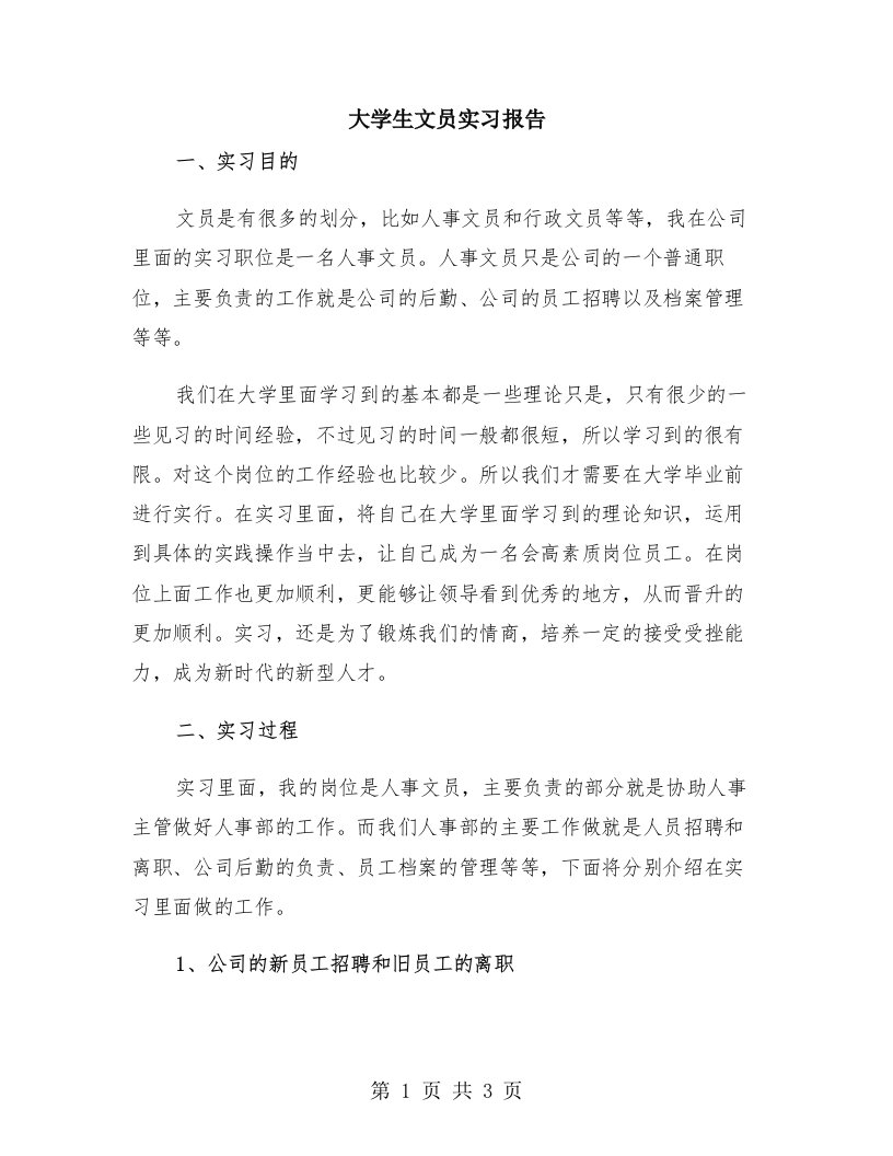 大学生文员实习报告