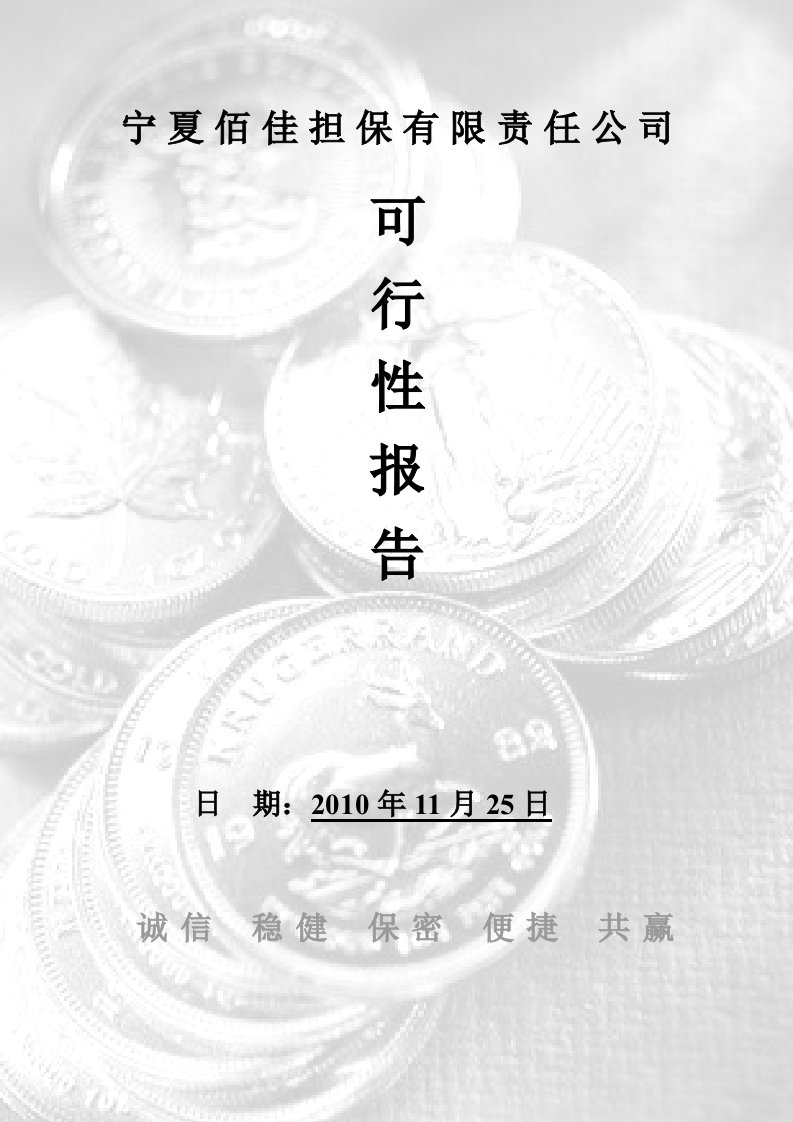 宁夏中小企业融资担保公司可行性报告