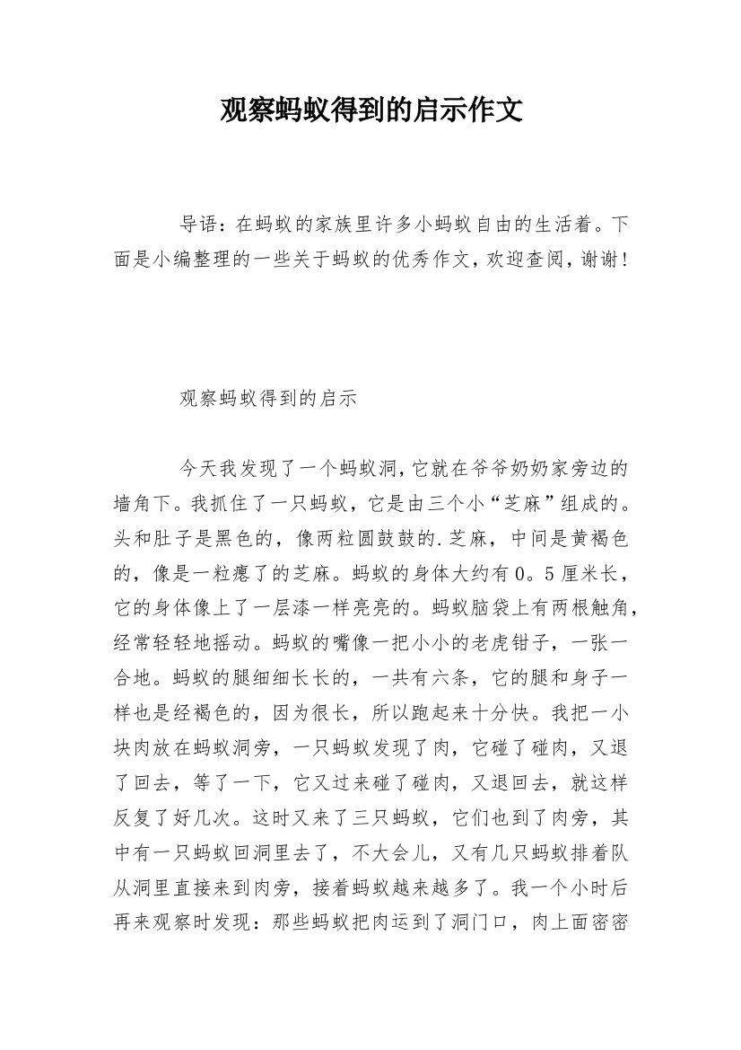 观察蚂蚁得到的启示作文