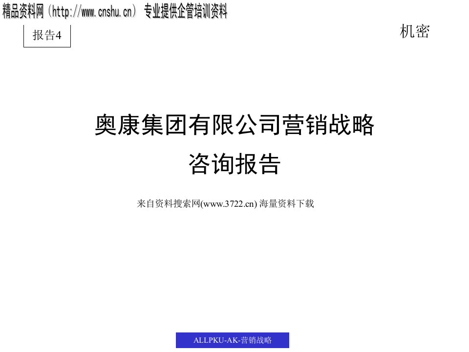 某某知名集团有限公司营销战略咨询报告(PPT157页)