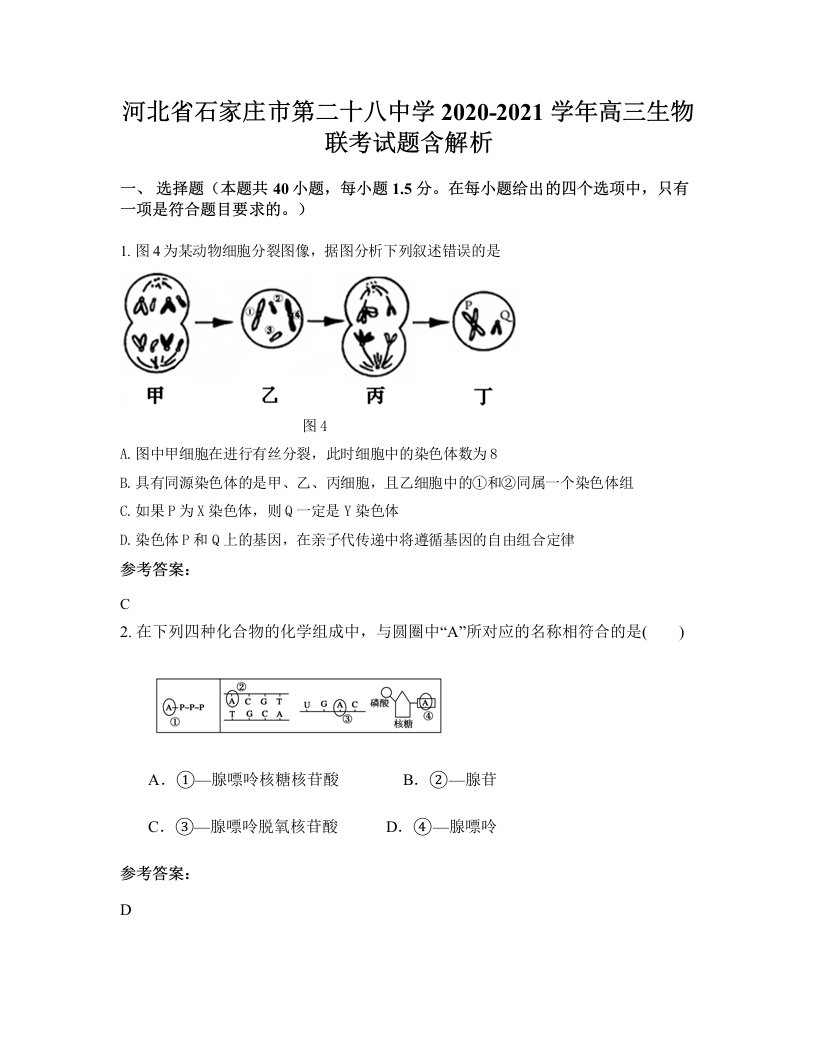 河北省石家庄市第二十八中学2020-2021学年高三生物联考试题含解析