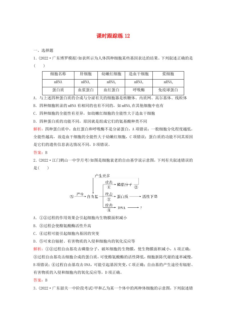 2024届高考生物一轮总复习第四单元细胞的生命历程课时跟踪练12细胞的分化衰老和死亡