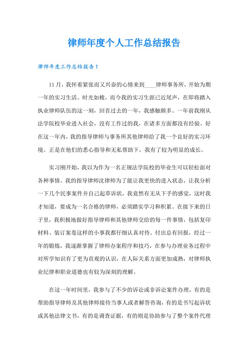 律师年度个人工作总结报告