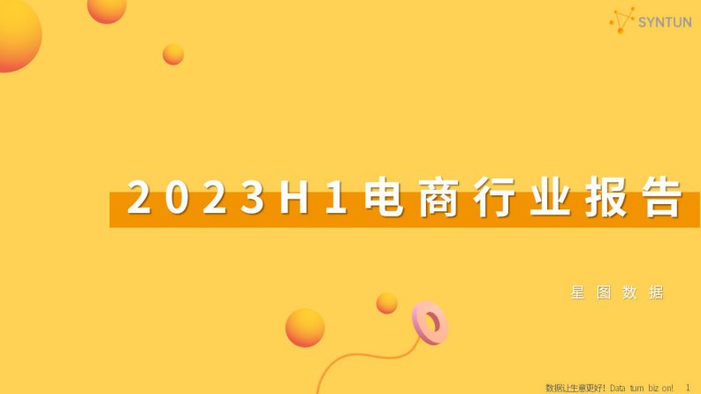 星图数据-2023H1电商行业报告-20231010