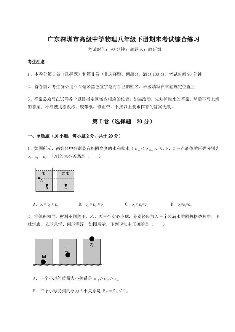 基础强化广东深圳市高级中学物理八年级下册期末考试综合练习试卷（含答案解析）