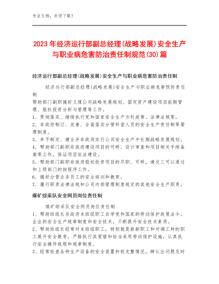 2023年经济运行部副总经理(战略发展)安全生产与职业病危害防治责任制规范(30)篇