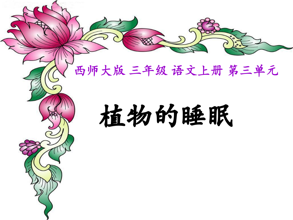 (西师大版)三年级语文上册课件-植物的睡眠